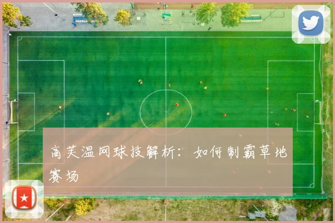 高芙温网球技解析：如何制霸草地赛场
